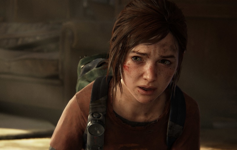 Пользователь Reddit купил ремастер TLOU 2 до релиза