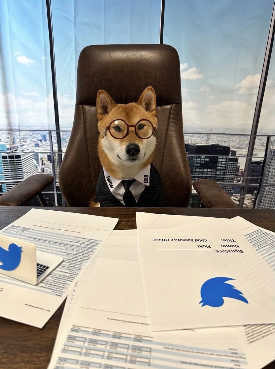 Илон Маск хочет покинуть пост главы Twitter к концу 2023 года