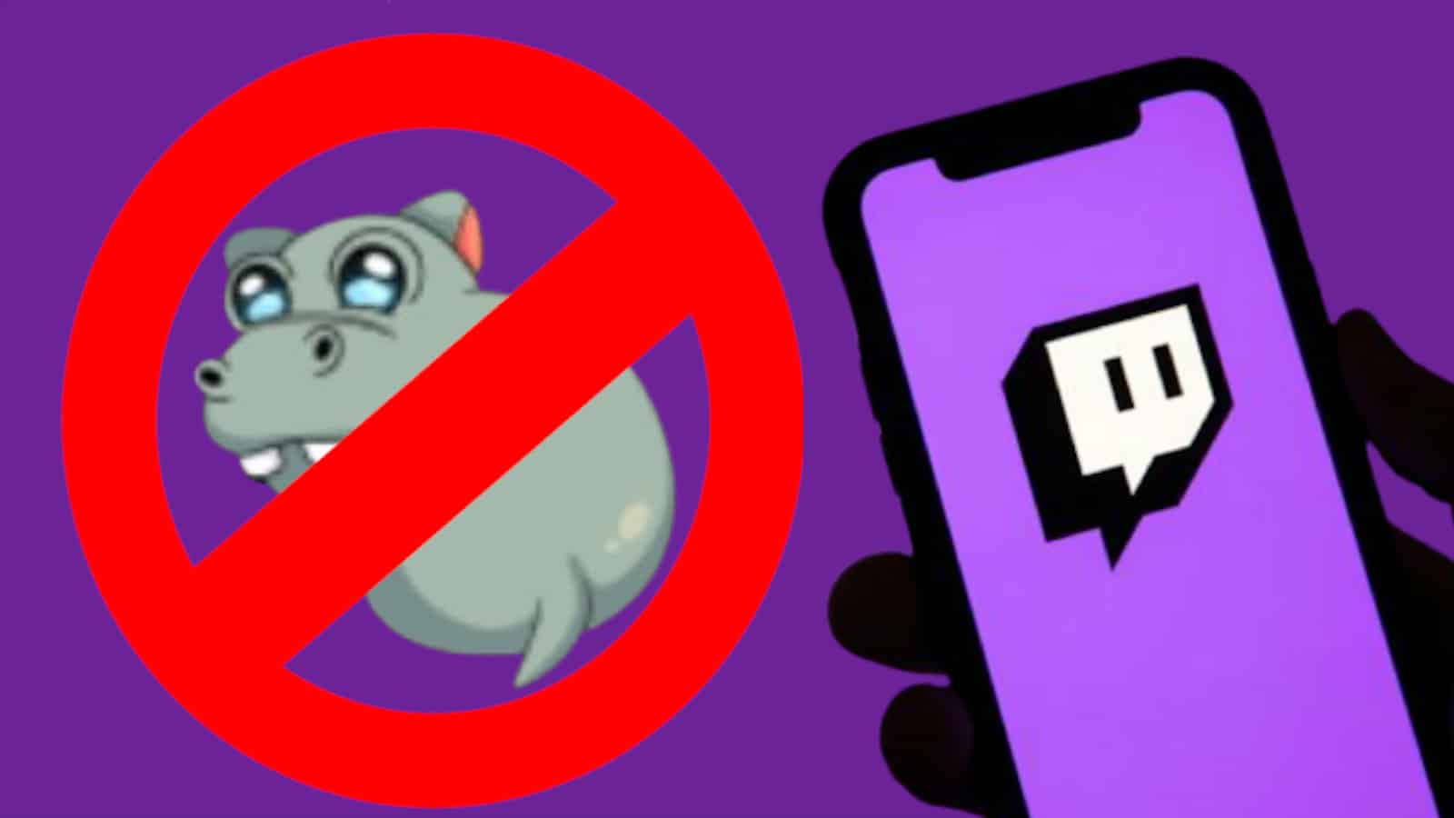 Twitch удалил бегемота за сексуальность