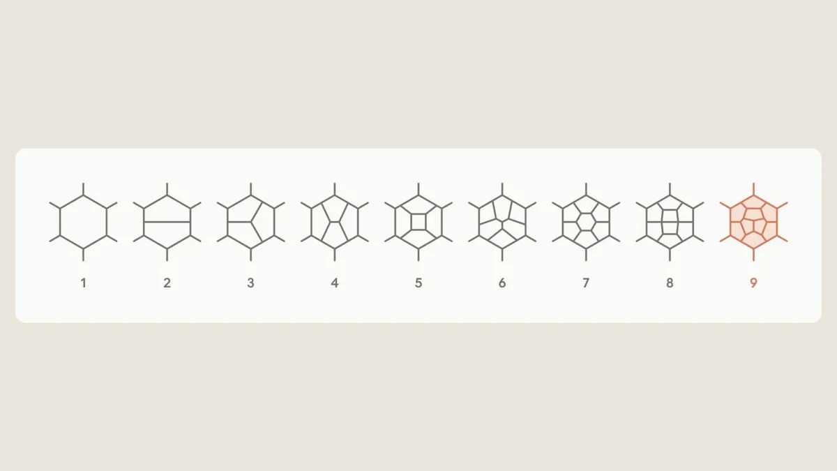 Claude Science вычислил девятипетлевую амплитуду — результат проверил физик Стэнфорда