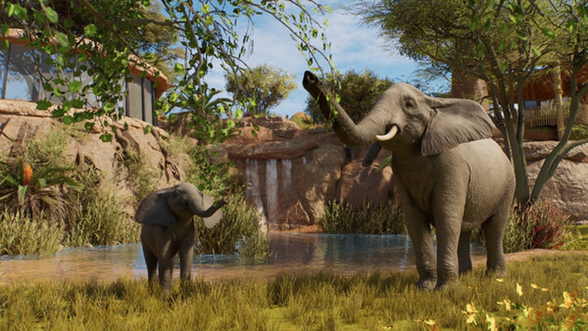 Вышла Planet Zoo 2 — с аквариумами, авиариями и заповедниками