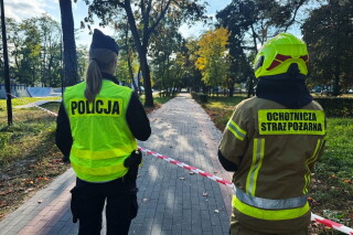 После трёх нападений в школах Польши полиция проверила 64 тысячи учреждений